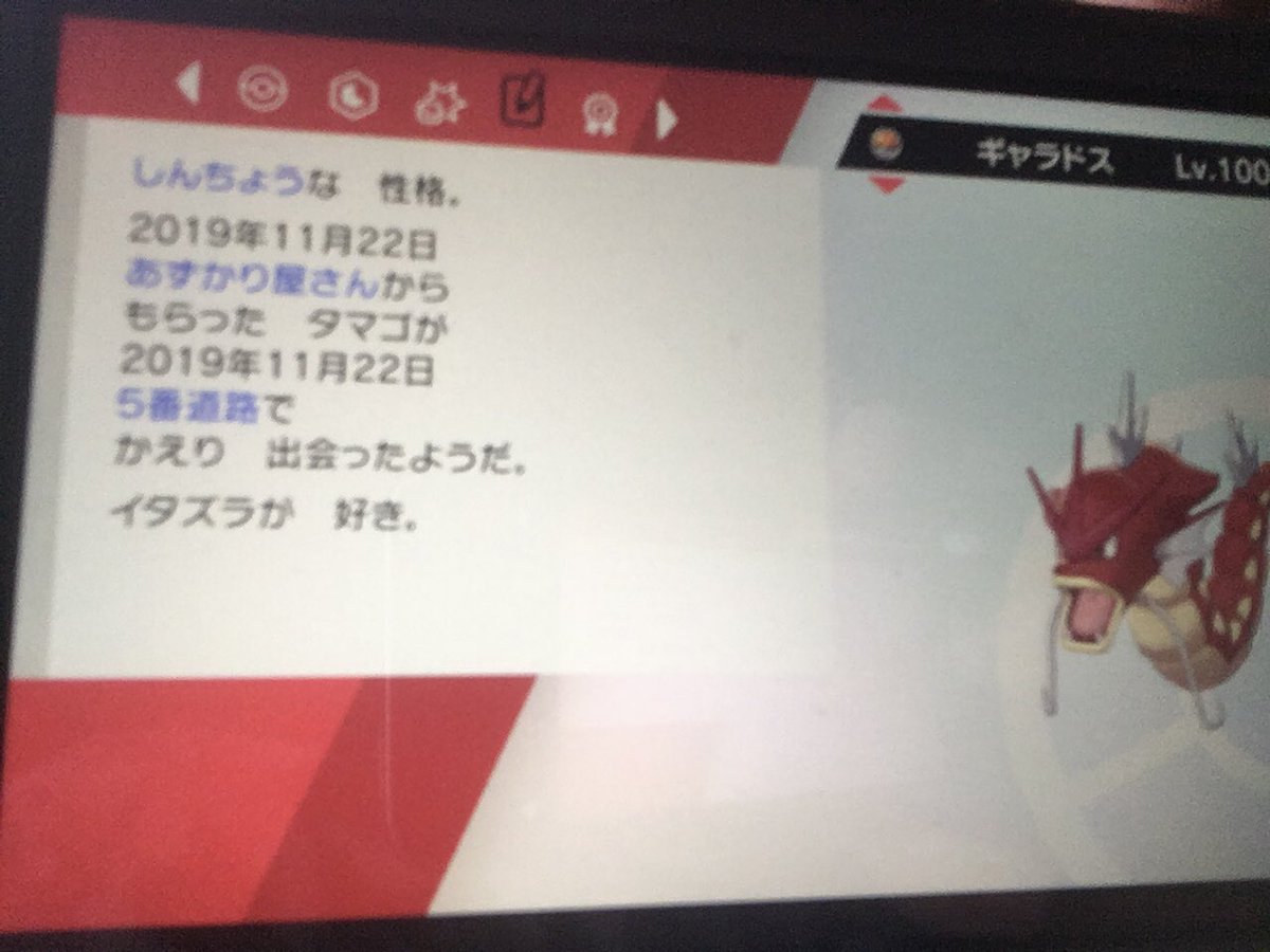 ゾルディック 出 育成済み耐久ギャラドス色違い 求 孵化産色違い メタモン6v 気軽に声かけて下さい ポケモン交換 メタモン 海外メタモン 海外産メタモン 色違いポケモン