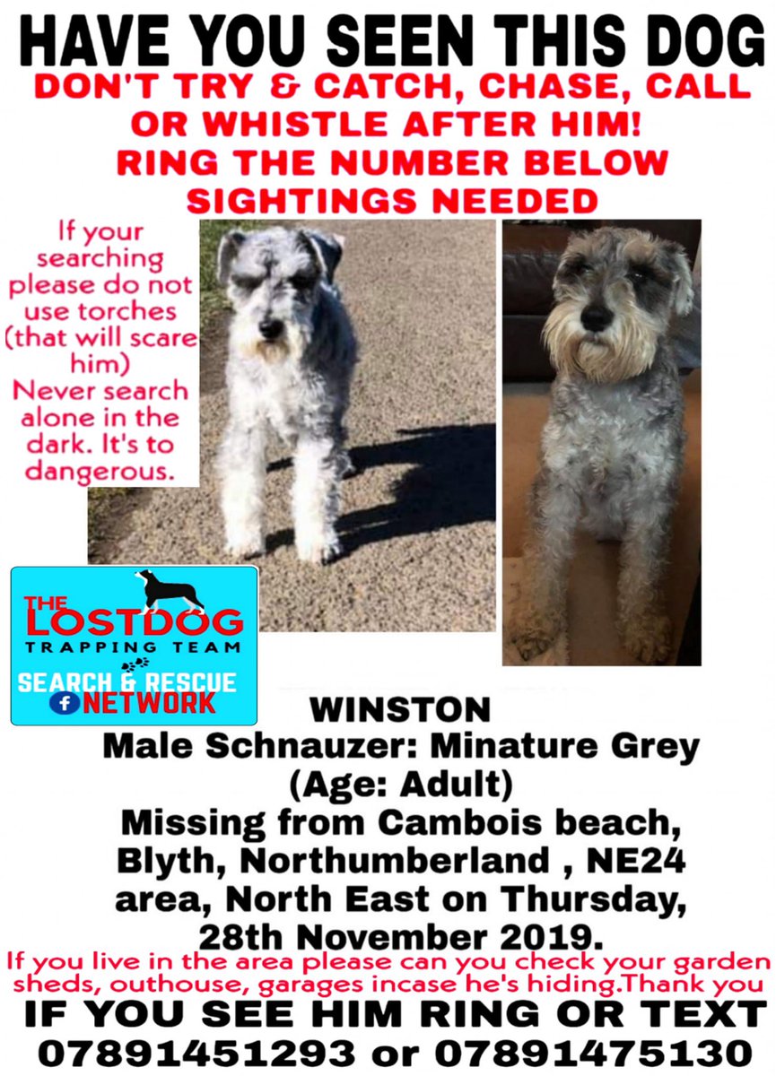 housewifeshiela's tweet image. Please help and share RT @TheSandK @metroradiouk @NPNland He has been gone nearly a week now. He may not be in the Cambois area now. If out in the Northumberland area, please keep eyes peeled and help to bring Winston home #Northumberland #northeasthour #northeast #blyth