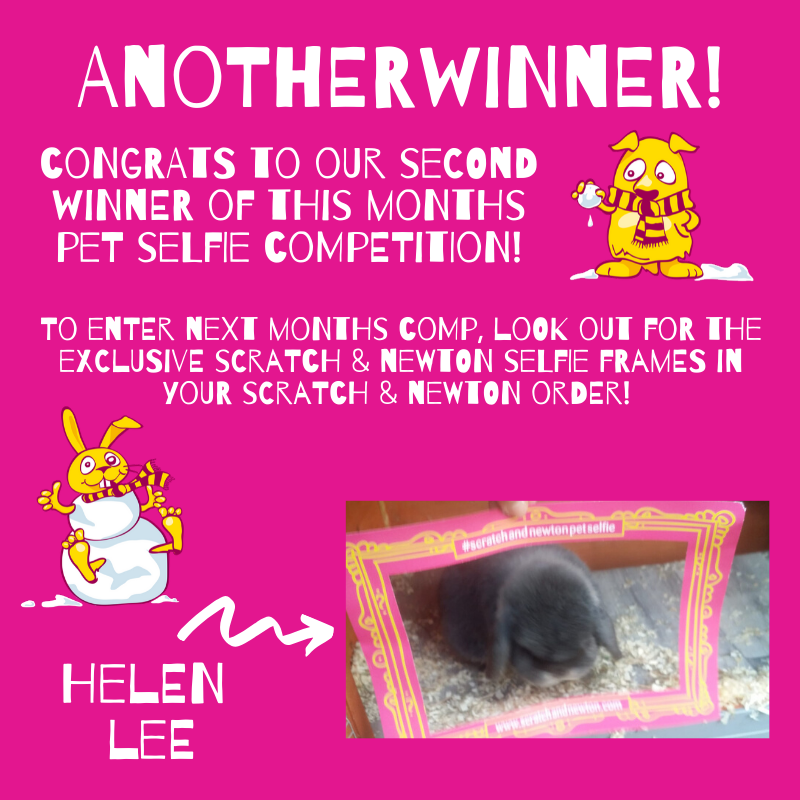 scratchnnewton's tweet photo. Congrats Helen Lee! Send us your details for shipping and we will send out your goodies! #scratchandnewtonpetselfie 🐰 Each month we will be picking two winners who send us their pet selfies using our pet selfie frames! https://t.co/H5Pu0eYyZZ