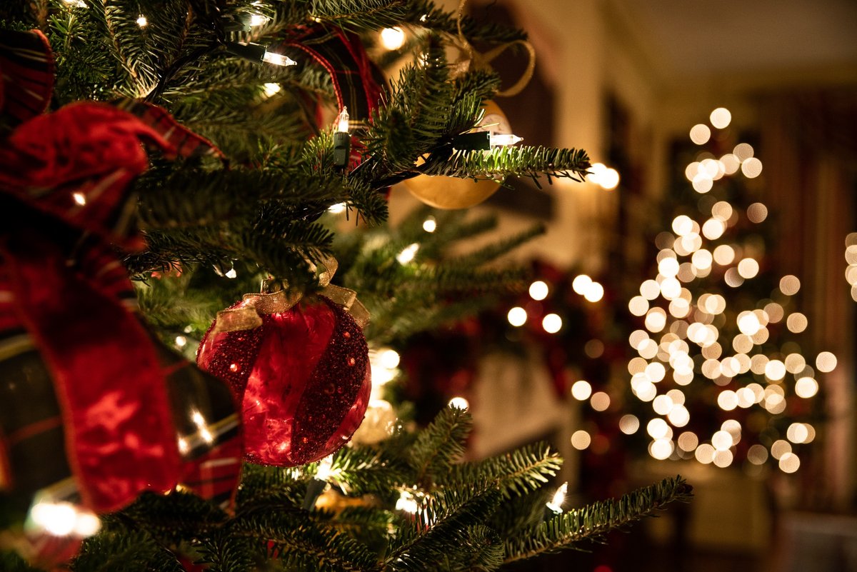 adictikworld's tweet photo. Llega la navidad y con ella las luces y decoraciones, queremos ver sus fotos de decoraciones, árboles y todo lo bello que es la Navidad. Únete al reto XMASLights y gana 50€⁠. Participa en nuestra App, descárgala en https://t.co/G5qcfbgysU https://t.co/9HysqJtEAM