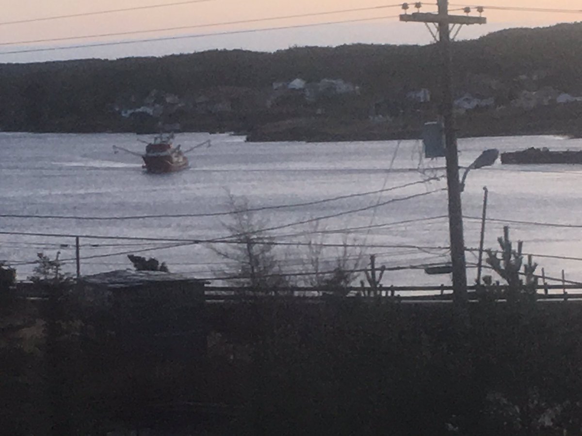 View this morning boat fishing in the harbour!  Herring maybe?#historicportunion