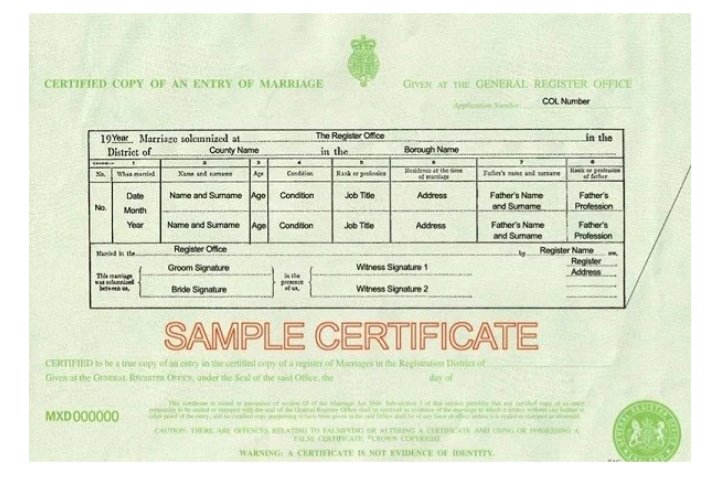 Tracy Jenkins tweet media