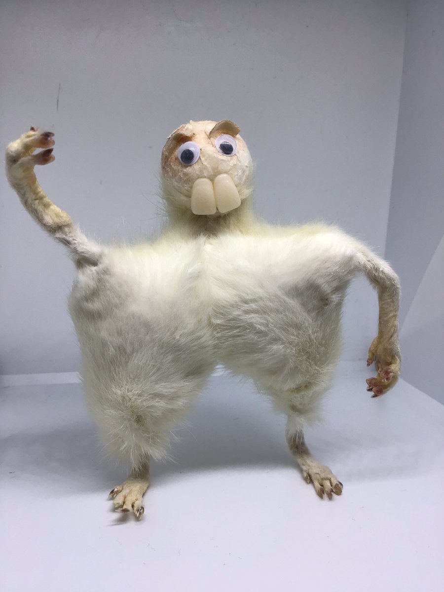 WorldAroundEwe's tweet photo. Itโs crazy how versatile dead rats are as a material.
Not just rats though, thereโs mice, rabbits, hamsters and chicks!
#handmade #ratsoftwitter #twitterrat #material #sustainable #ChallengeAccepted #reanimate #taxidermy #badtaxidermy #craptaxidermy #funnyart #animalsarethebest https://t.co/h14Rk4l4KO