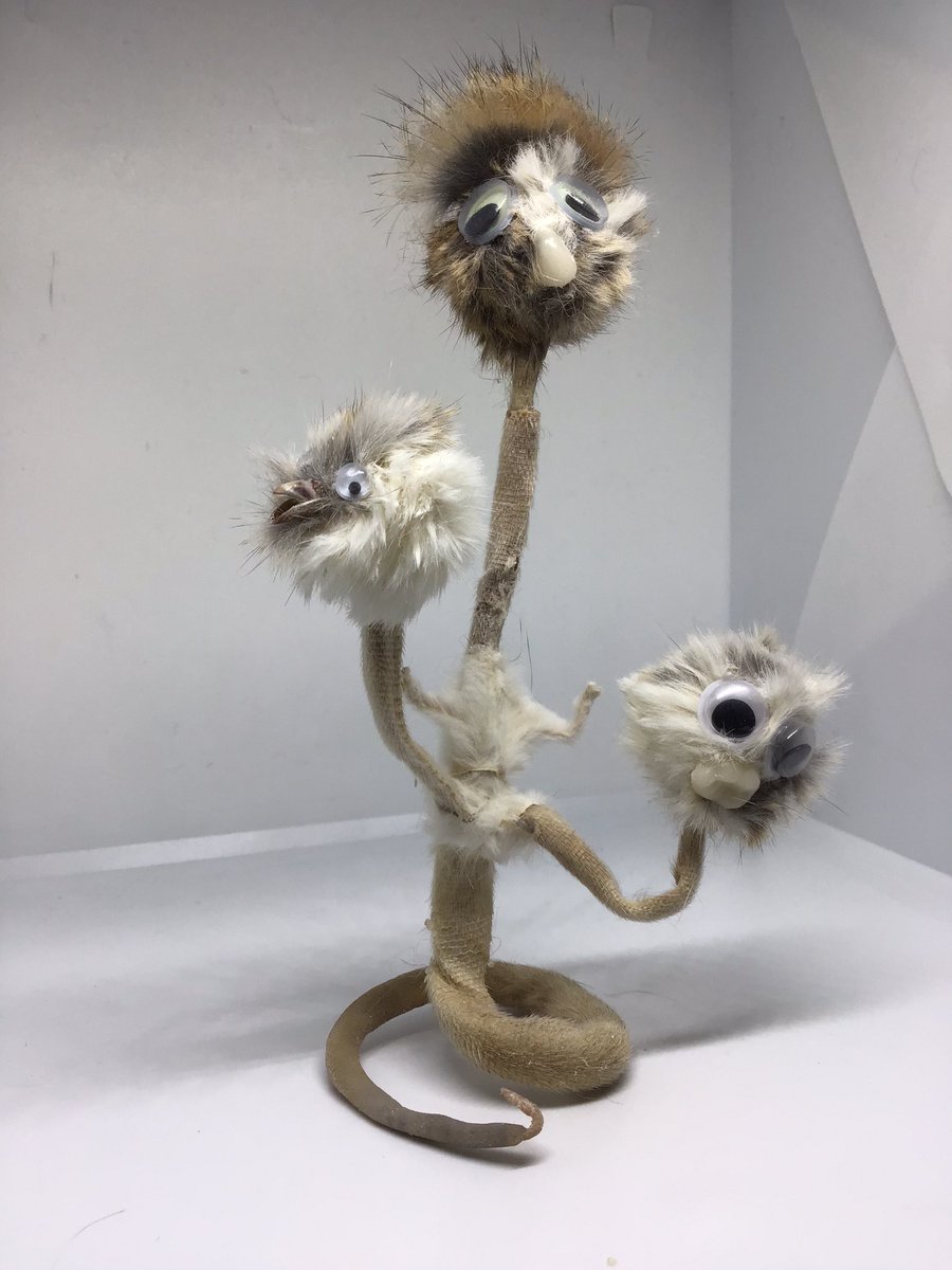 WorldAroundEwe's tweet photo. Itโs crazy how versatile dead rats are as a material.
Not just rats though, thereโs mice, rabbits, hamsters and chicks!
#handmade #ratsoftwitter #twitterrat #material #sustainable #ChallengeAccepted #reanimate #taxidermy #badtaxidermy #craptaxidermy #funnyart #animalsarethebest https://t.co/h14Rk4l4KO