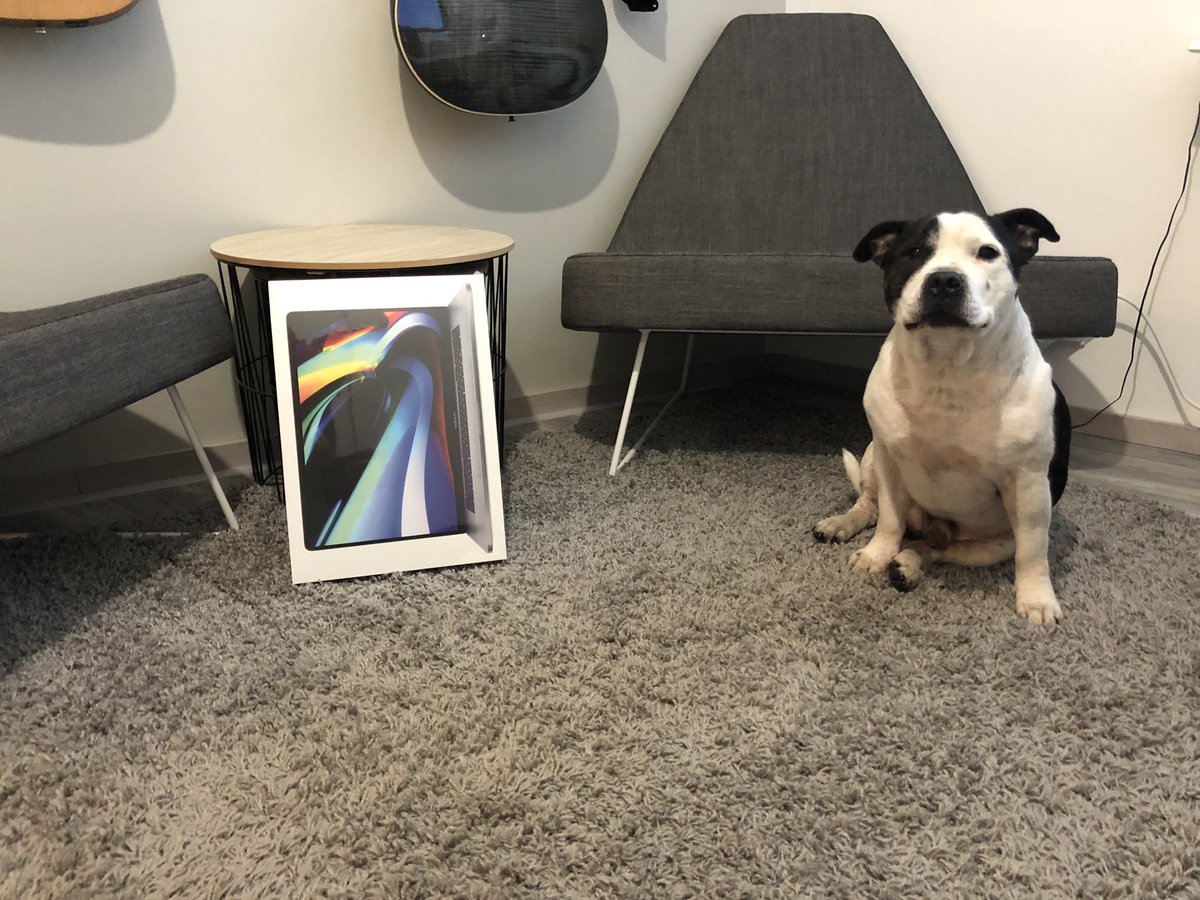 Mr. Doggo got his new #apple computer. Not that exited though...

#staffordshirebullterrier #staffy