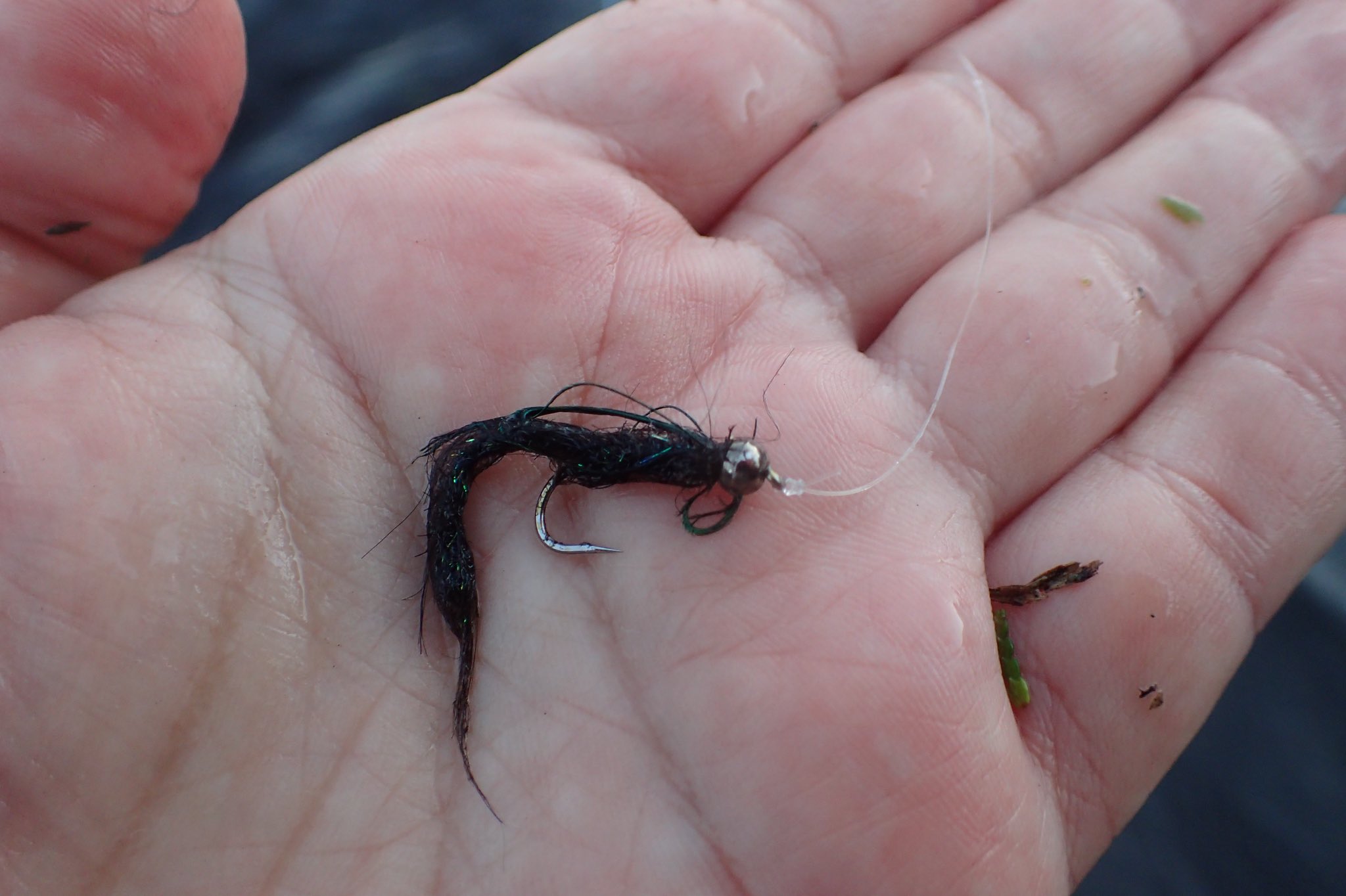 堀内正徳 シマザキdte ダブルツイストエクステンション テクニックによるヒゲナガラーバ みたいなの フライで潤井川ニジマス