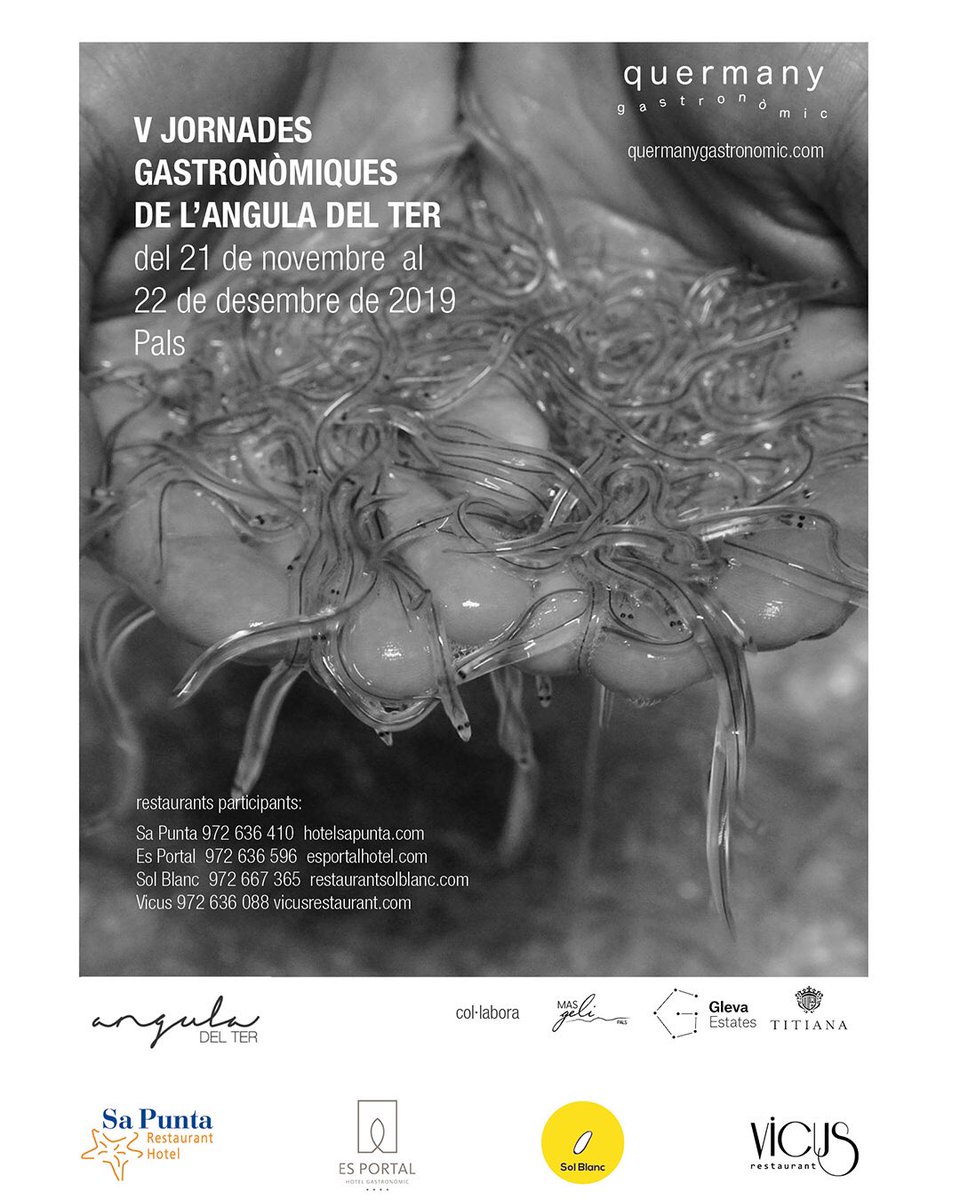 Sol_Blanc's tweet photo. Avui presentem oficialment les V jornades gastronòmiques de l’angula  del Ter @anguladelter Participem @VICUSrestaurant @Es_Portal @Sol_Blanc i #sapuntarestaurant organitza #quermanygastronomic
Fins al 22 de desembre https://t.co/jfkc1GLJOU