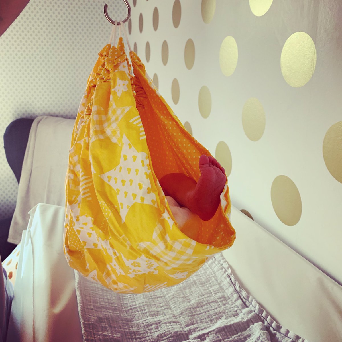 Jeanine Laudy tweet media