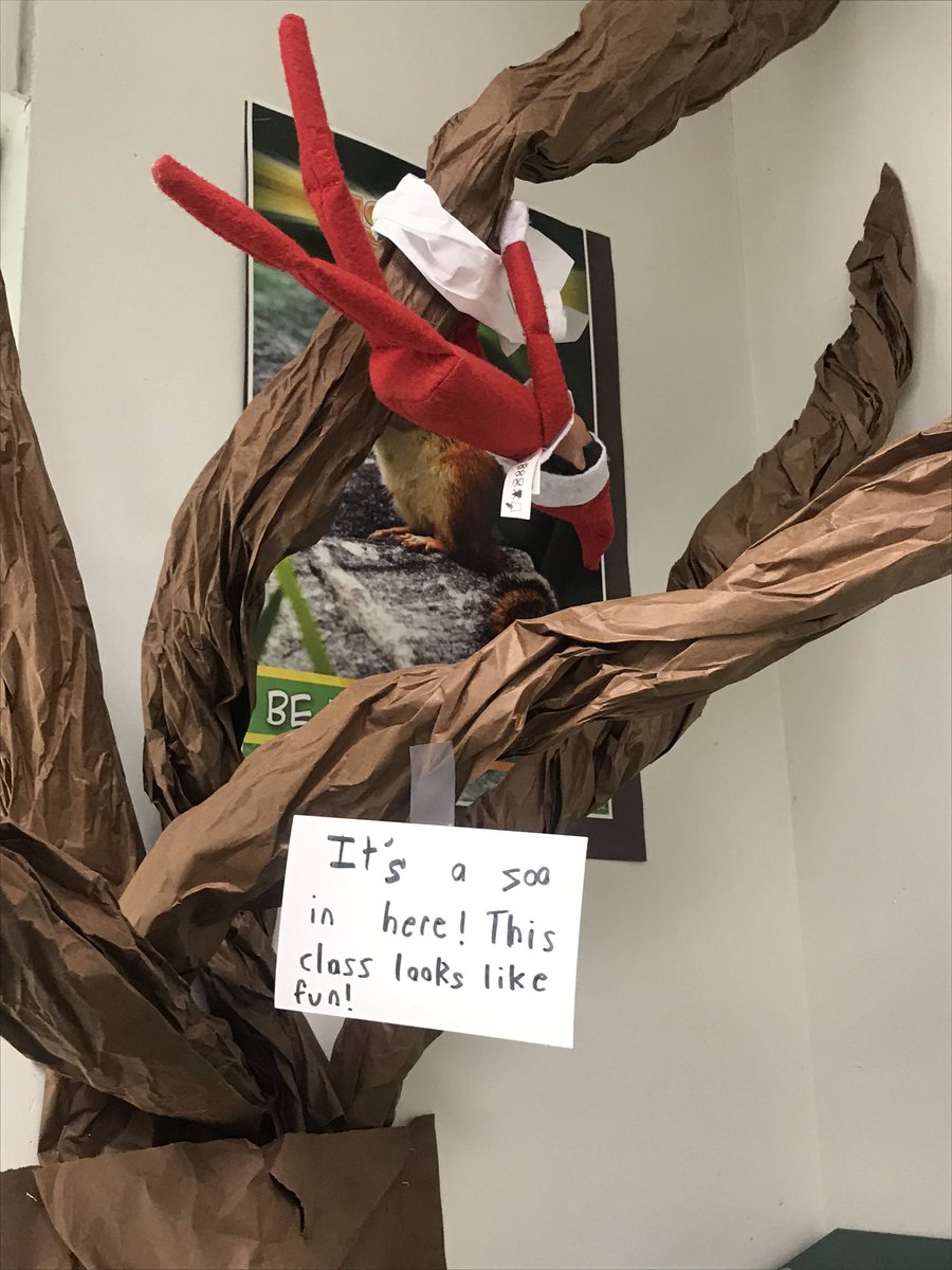 amchalmers5's tweet photo. He’s back! This group of students are convinced that I move the elf. Wonder what he’ll get into this year?! #elfontheshelf #classroomedition https://t.co/bqgjn6TAQv