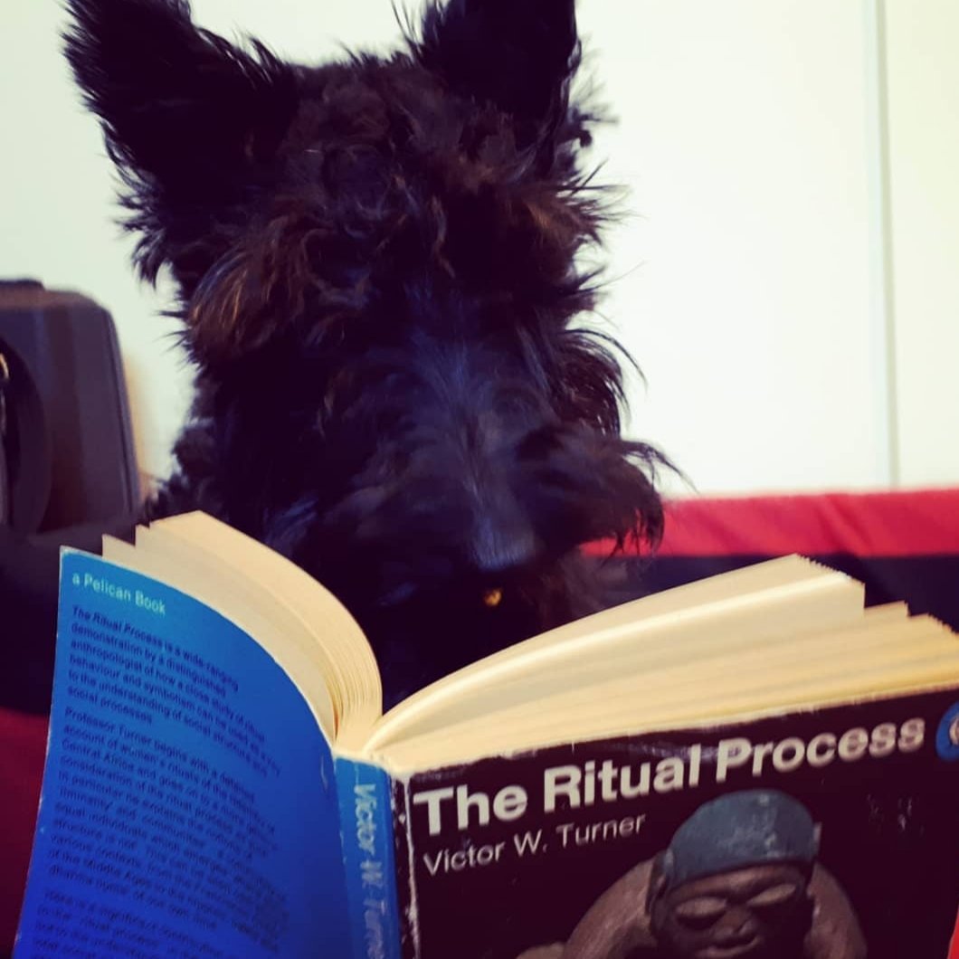 localoaff's tweet photo. missing this fella @AnthroDogs https://t.co/dsAdD9KLlm