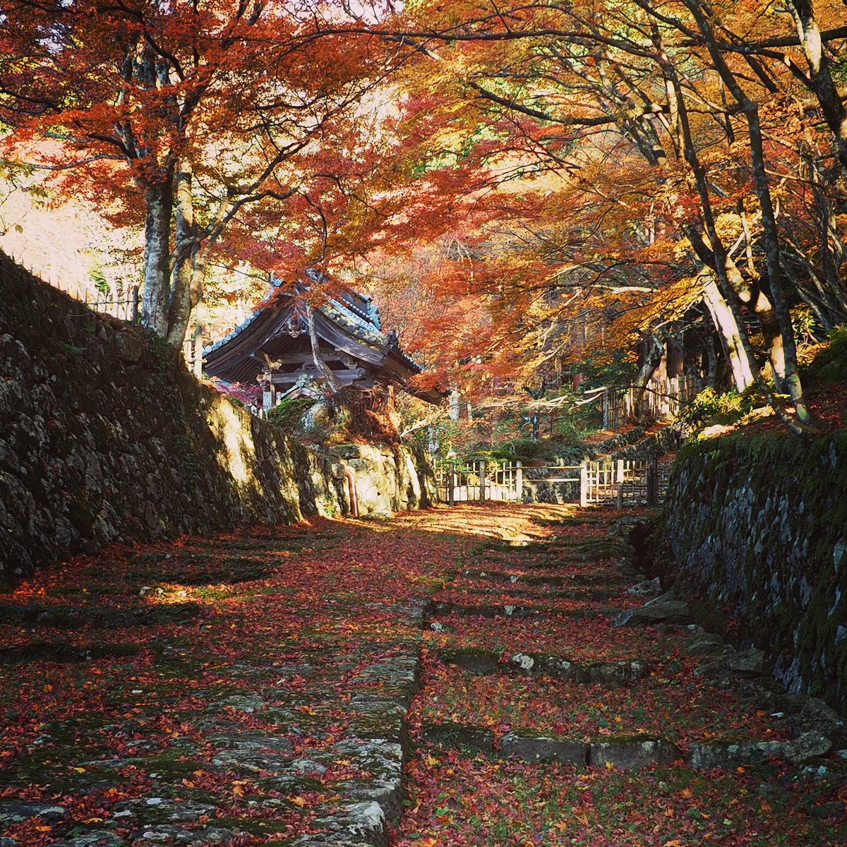 湖東三山百済寺 湖東三山百済寺