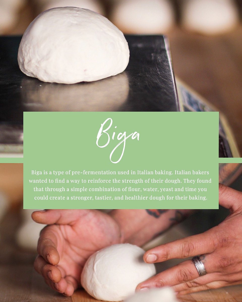 •What’s BIGA?•
So after nearly 4 years running we still get this question! ☺️

✨Fun Fact:  In some parts of Italy, the biga is known as “la madre”, or “the mother”, a reference to the idea that biga is the mother of the bread.

#BIGAsandiego 
📸: @doratoniphotography