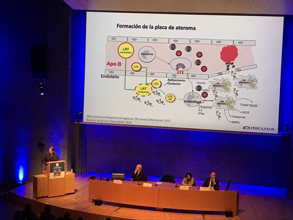 unainternista's tweet photo. Nos interesa lo que ocurre con las #cLDL (también las que se oxidan y activan los macrófagos) así como las #LRTremanentes (lipoproteínas ricas en triglicéridos)
Diferencias del fenotipado clásico vs real
🛠 Medidas indirectas
Dr JTReal
#fipec19 #fipec2019
@DaianaIbarretxe https://t.co/rCcqAZOn2T