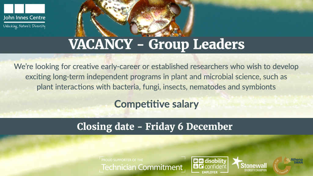 JohnInnesCentre's tweet photo. GROUP LEADERS- We’re looking for creative early-career or established researchers who wish to develop exciting long-term independent programs in plant and microbial science, such as plant interactions with bacteria, fungi, insects, nematodes and symbionts https://t.co/ft4IJlJhd4 https://t.co/QR4xGxc4wD