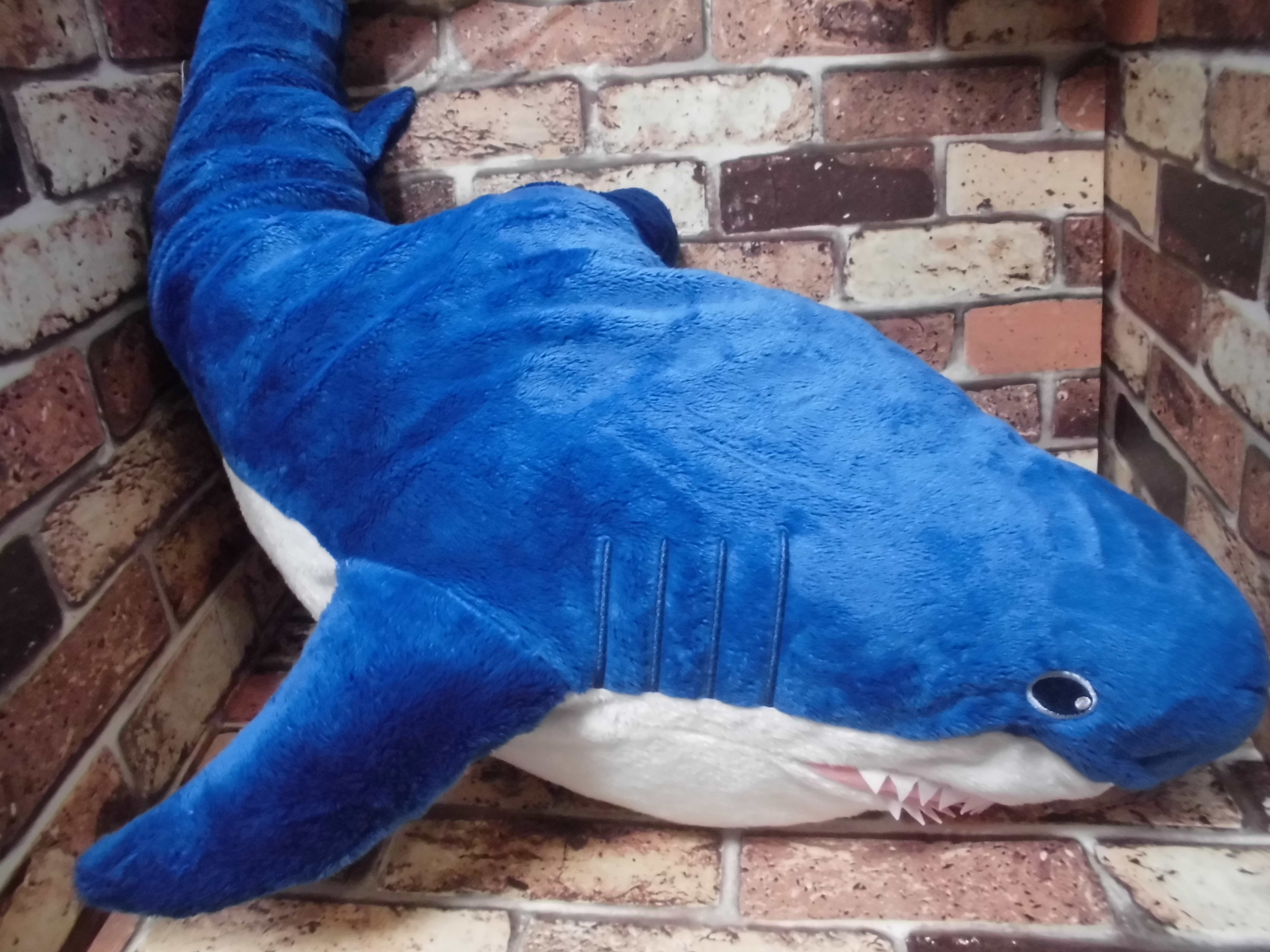 توییتر Namco松戸店 در توییتر 景品入荷情報 Sea Creatures Bigヌイグルミ サメ Ver2 が本日しました 全長８０ｃｍの超ド迫力のサメがぬいぐるみで登場 色は青とピンクの2種類あるので お好きな方ゲットしてみて下さいね サメ T Co Nxigd1wne3