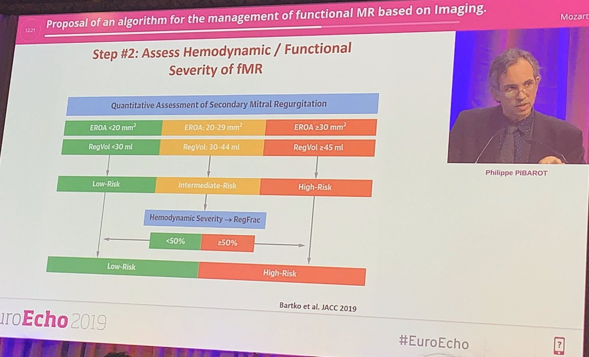 Miho_Fukui_'s tweet photo. Proposal Algorithm for the management of FMR based on Imaging by Dr @PPibarot at #EuroEcho 2019. https://t.co/H7RFsiAMhV