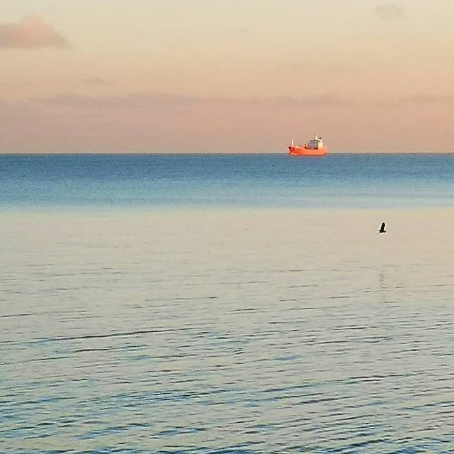 WalkingAdam1's tweet photo. Another fron the walk into work.

#margate #margateoldtown #coast #coastal #sea #seascape #turner #kent #thanet #uk_shooters #beautifulbritain #seisbest #boat #shipping #today #walking #coastalfootpath #ldf #sunrise #autumn #winter #thames #thamesestuary #bestoftheday https://t.co/9imj1sA2X3