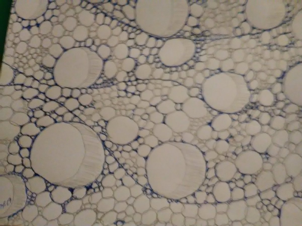 Jared19469766's tweet image. #yetanotherday going round in circles