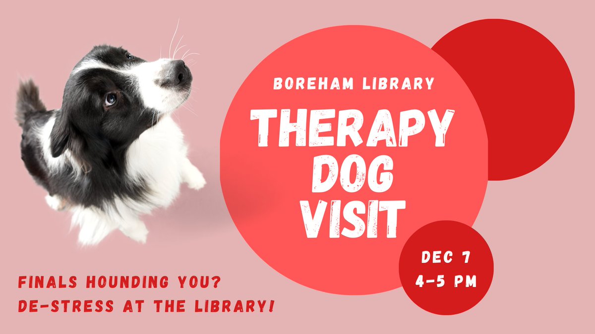 uafslibrary's tweet image. TIME CHANGE! Gunner the therapy dog will be at the Library this Saturday, December 7th from 4-5 pm.