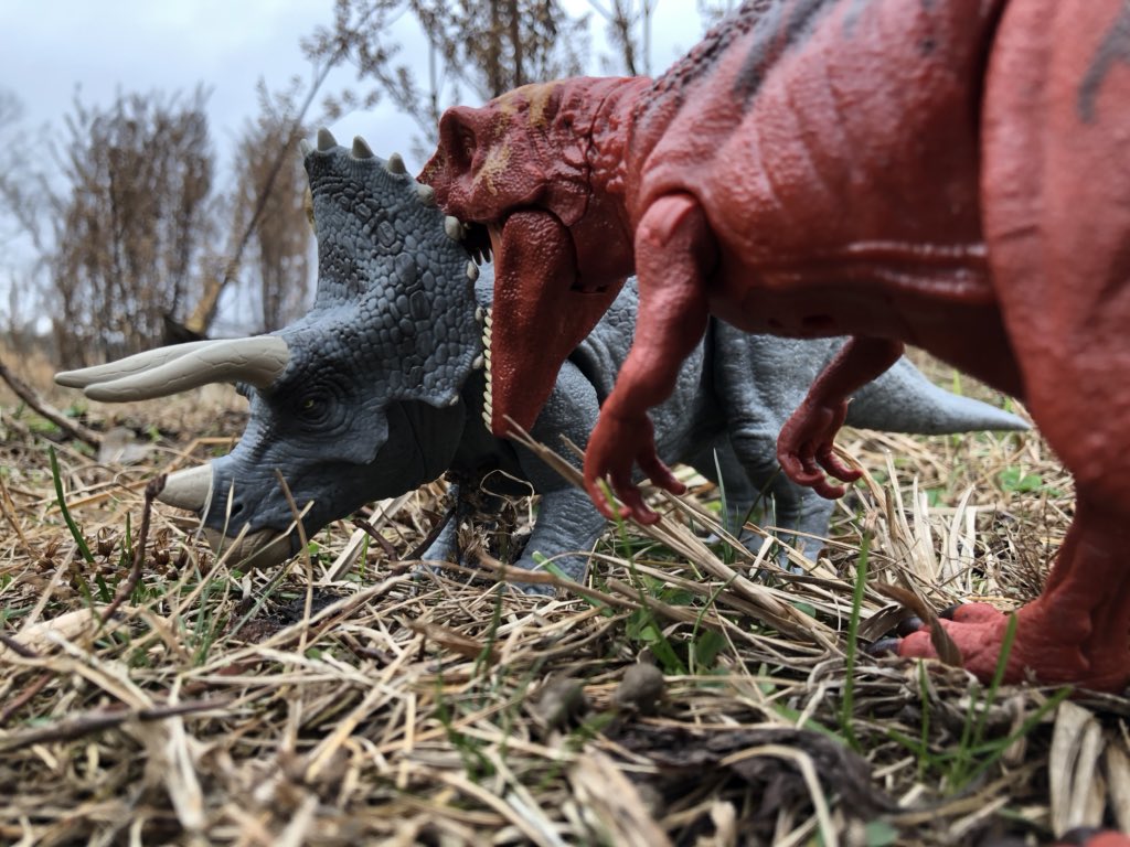 CollectorPaleo's tweet photo. Metriacanthosaurus pair ambushes a young bull Triceratops.
#mattel #matteljurassicworld #matteltoys #jurassicworld #jurassicworldtoys #jurassicpark #jurassicparktoys #dinorivals #roarivores #dualattack #metriacanthosaurus #triceratops https://t.co/EmfsLIFRxG