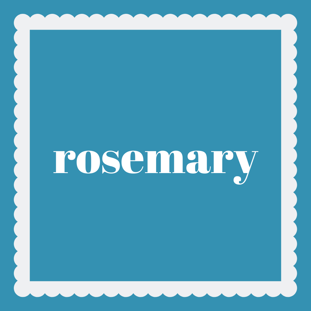 moreloveletters's tweet photo. On the 3rd day of #12DaysMLL, say hello to Rosemary.

https://t.co/GF3DcxEOGK https://t.co/SKSEJuUQ60