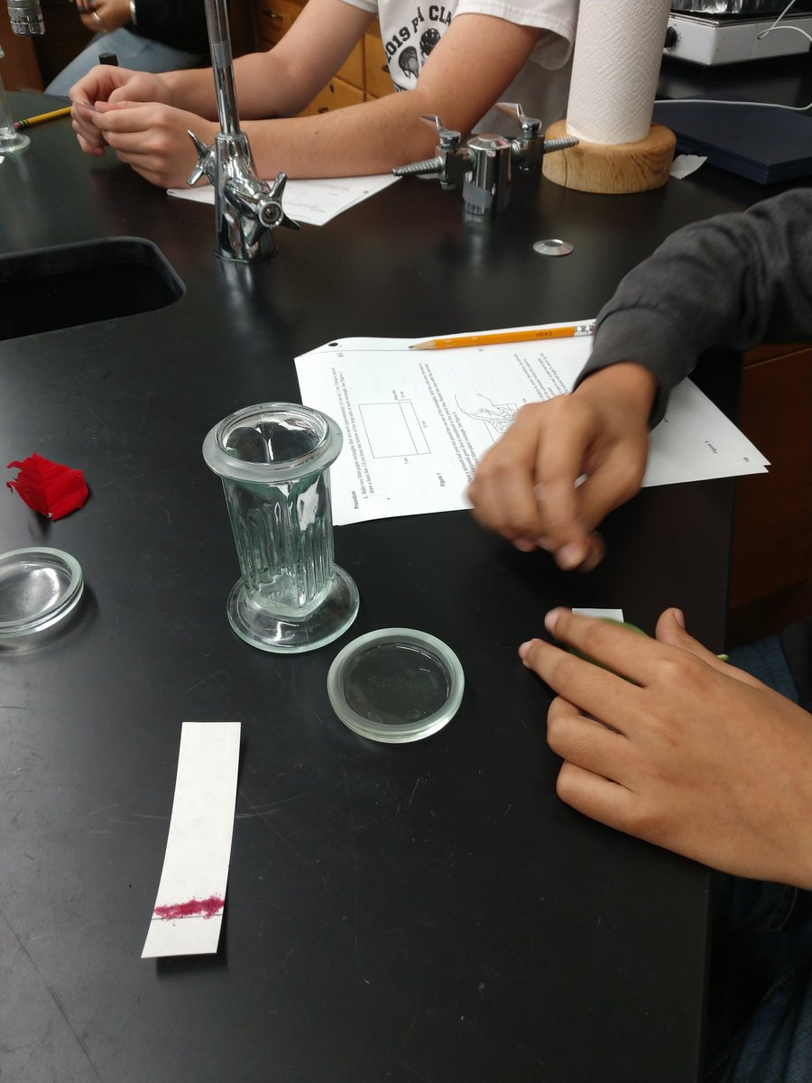 MrsBogertWYO's tweet photo. 'Tis the season... For plant chromatography! How do plant pigments differ among various colored leaves? Bio students are investigating today! https://t.co/dY76BFJQGl