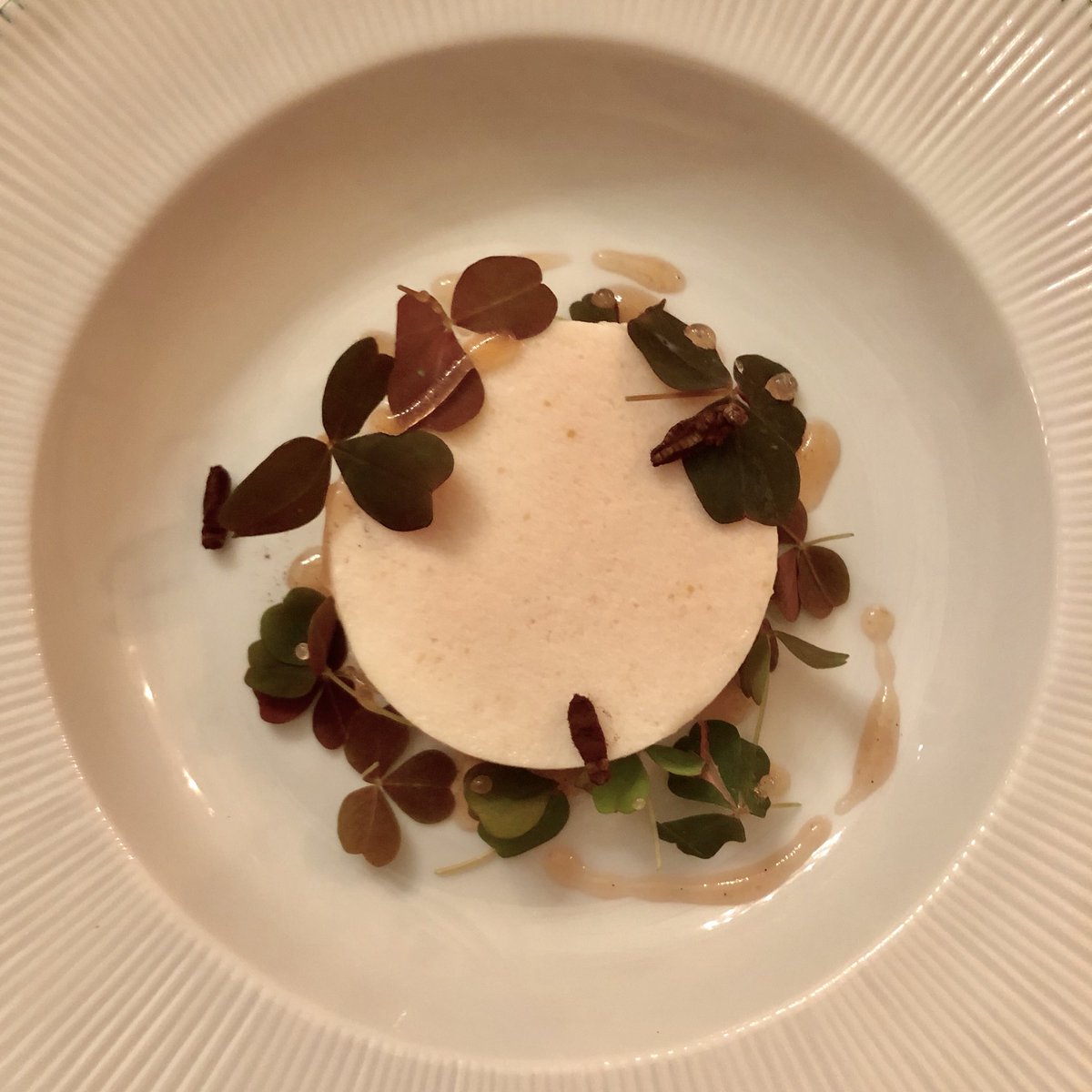 Enrangdoignons Enrangdoignons Twitter