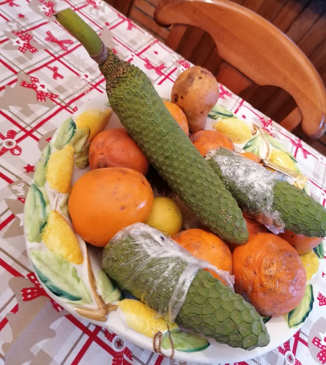 k4rur4_'s tweet photo. Mio fratello qualche giorno fa ha portato questi cosi verdi che, a quanto pare, sono i #frutti del #Filodendro. Li ho assaggiati poco fa e sono veramente buoni, voi li conoscete? https://t.co/Qe4Oh5feQv