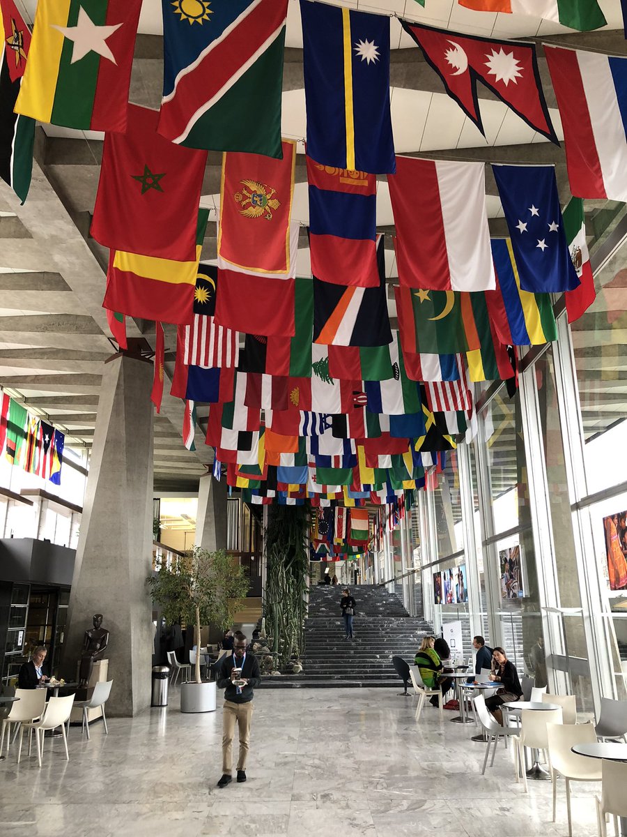 ENTOutreach's tweet photo. GEO representing surgical education and outreach at the 1st World Hearing Forum #worldhearingforum #WHO #safelistening #championsforhearing #surgery @WHO @ShellyChadha1 https://t.co/wl9fd0oKc6