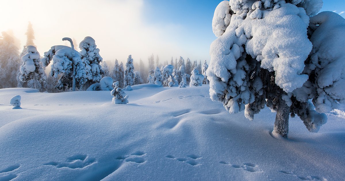 Are you planning to visit Santa Claus this Christmas? Santa’s official home airport Rovaniemi is expecting travellers from all over the world to visit the unique winter wonderland🎅🏼 Fly directly to Rovaniemi Airport. #finnishsanta @finnishsanta #workingforsanta 📸: Marko Junttila