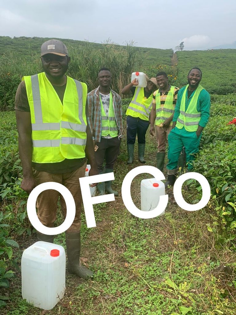 Fetching water for watering/irrigation of the tomato plants in the field.
#ofcocoop
#feedtheworld
#goorganic #organicfarming #urbanorganicfarming #sustainableagriculture #organicearth #zerohungerzerowaste #zerohungergeneration #zerohunger #africanyouthempowerment #africa
#sdg