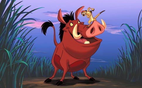 pumba y