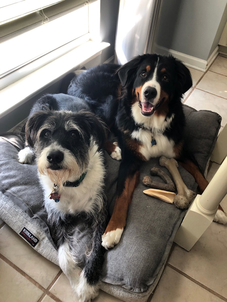 Danny Conley tweet media