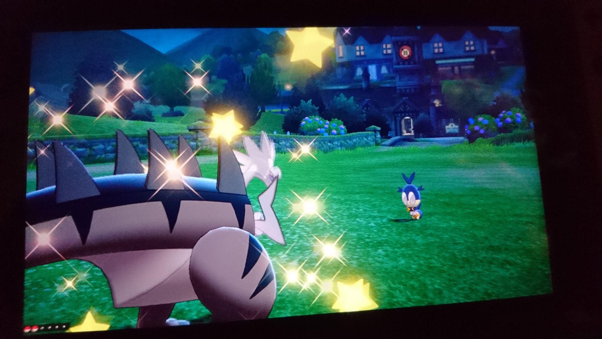 ポケスカイ残党団 ポケモン剣盾 出た色違いパッチラゴンはレア色違いではないようですね 判定はタマゴ孵化と同じ確率なのかもしれませんね T Co 9e8bzote5h Twitter