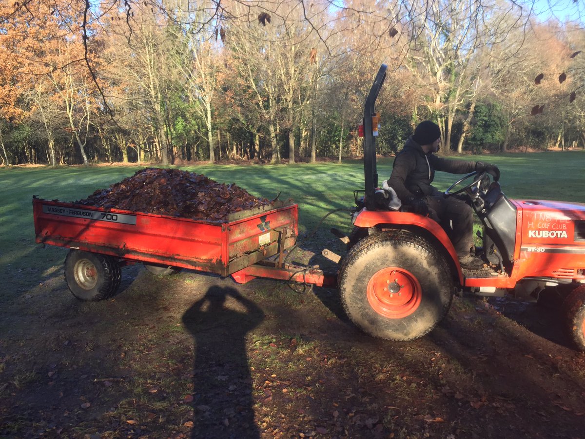 c_holty's tweet photo. Flat out on the leaves left side of 3rd hole Holtye G.C , 130ish yards back from green now lots of trailer loads have been removed 👍 https://t.co/Xmy60OrQk8