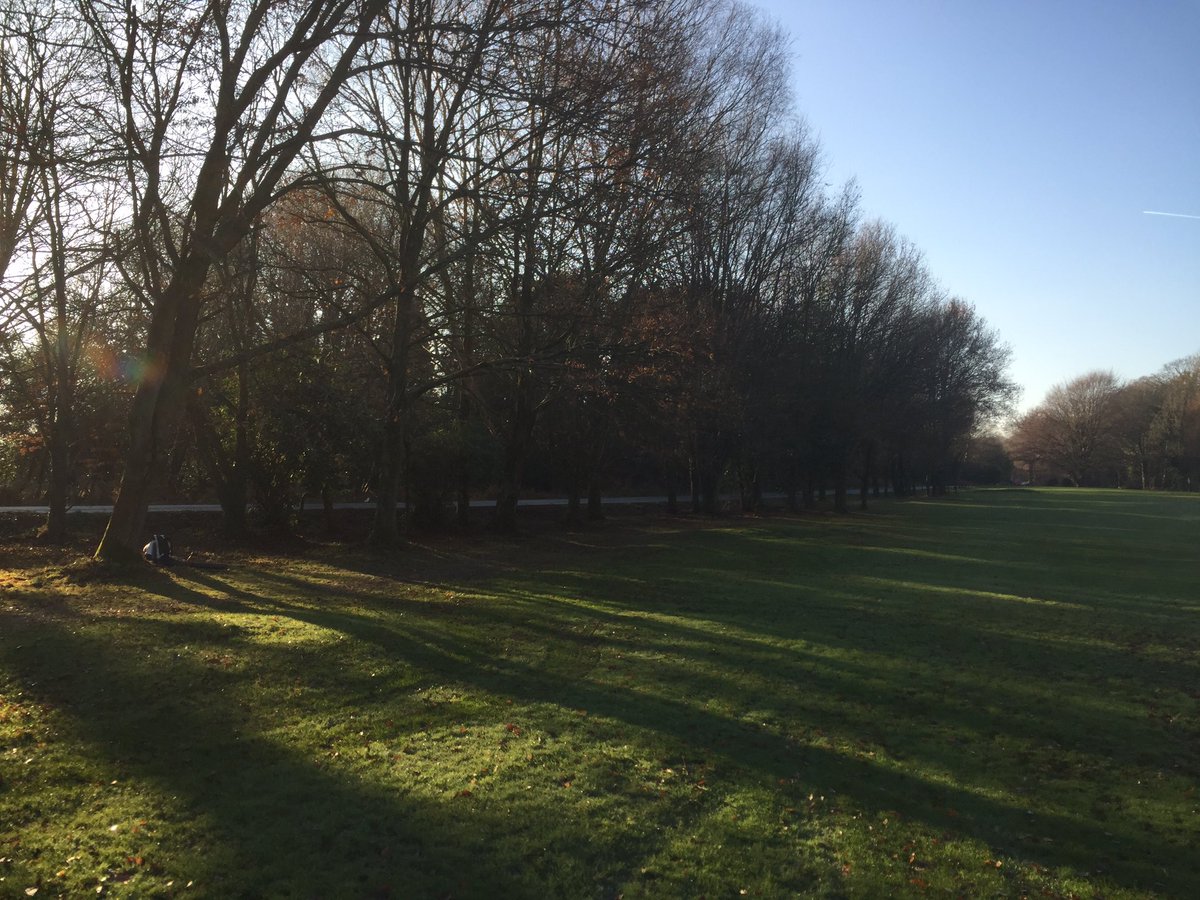 c_holty's tweet photo. Flat out on the leaves left side of 3rd hole Holtye G.C , 130ish yards back from green now lots of trailer loads have been removed 👍 https://t.co/Xmy60OrQk8
