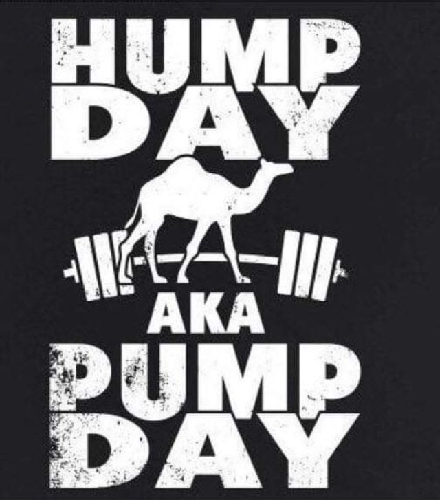 bfit516's tweet photo. Today is hump day, but every day is PUMP DAY!  Go #exercise before you change your mind.  #fitness #fitfam #bodybuilding #Weightlifting #noexcuses #justdoit #getfit #gymlife #crunchbellmore #personaltrainer https://t.co/aCjm32L6yb