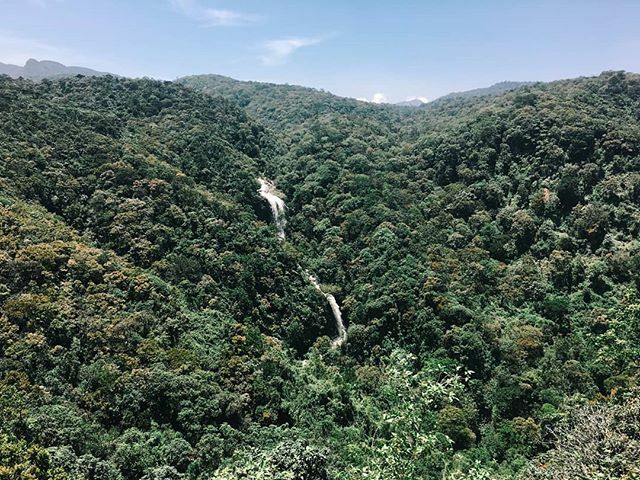 'Young leaves, the sound of a waterfall, heard from far and near.' - Yosa Buson
・・・
#nature #naturephotography #naturelovers #waterfall #waterfalls #trees #srilanka #sosrilanka #islandlife #travelsrilanka #travel #vsco #vscocam #vsconature #lka #🇱🇰 bit.ly/2YdV1Q7