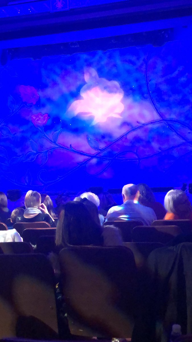 tracimun's tweet photo. @JakeQuickenden https://t.co/rK5hO5etRF