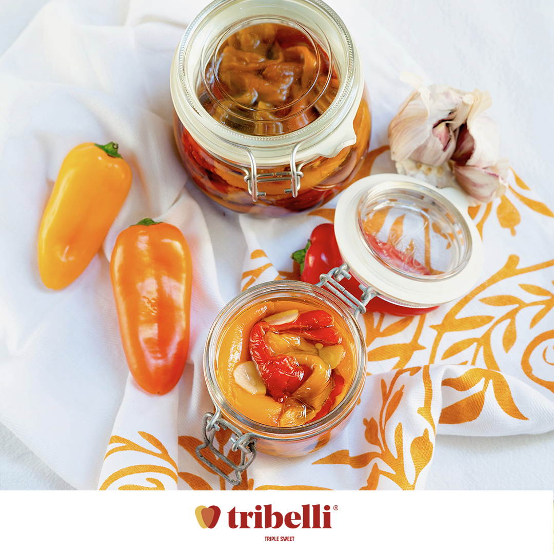 Roasted Tribelli Peppers in garlic Olive oil
A festive touch for your daily recipes.
Get it:  instagram.com/p/B5qXWEoCQjQ/
#Tribelli #triplesweet  #peppers #easyrecipes #healthyfood #vegrecipes #healthyrecipes #easycook #lowcaloriesrecipes #antioxidantrecipes #roastedpeppersrecipe
