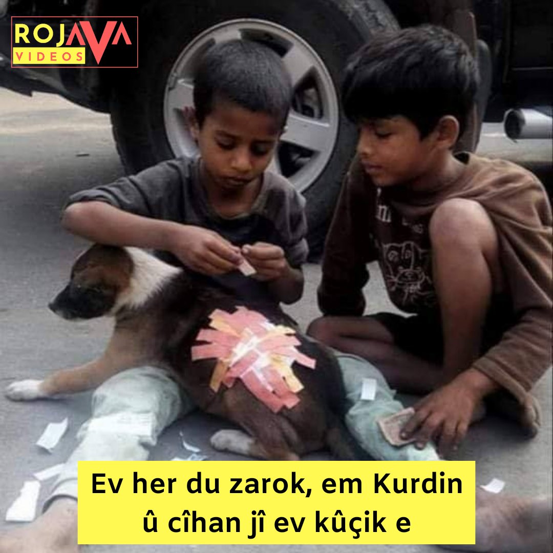 RojavaVid's tweet photo. #rojavavideos #Rojava #ypg #ypj #qsd #hsd #pkk #hpg #ynk #pdk #Kurdistan #kurd #erbil #hewlêr #barzani #amed #talabani #ocalan #Qamişlo #duhok #zaxo #govend #dîlan #zarok #başûr #bakur #rojhilat #azad #dengbêjî #hozan https://t.co/D0pbLjWyj6