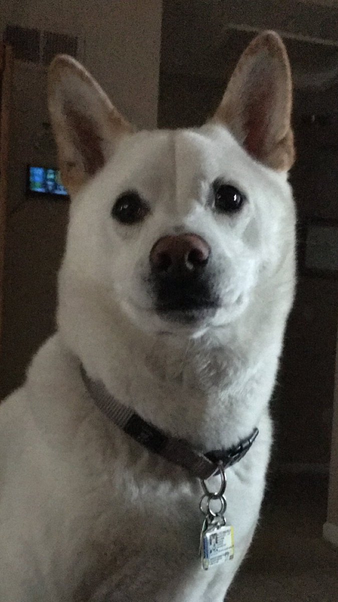 Vanessa Valencia tweet media