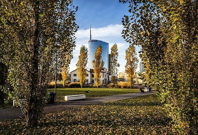 lucauge's tweet photo. New pic: Autunno milanese.. #milano #autumnvibes🍁 #autumn #autunno #igersmilano #visitmilano #unicredittower #loves_landscape #urbanexplorer #whatitalyis #instacool #instatravel #instamilano #colors #city #cityscape @milanoskylines https://t.co/tgZXuGWWXG