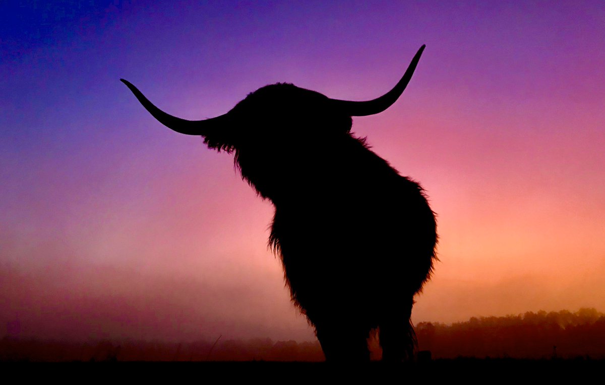 leokemper tweet media