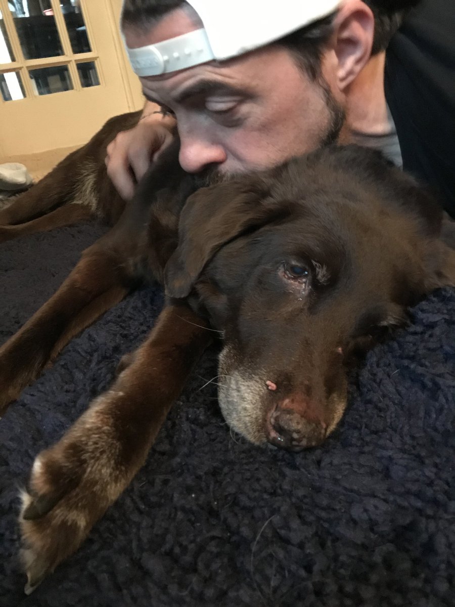 ThatKevinSmith's tweet image. Fare thee well, Louis Vuitton Schwalbach Smith! You came into our lives on January 1st, 2004, as the sweetest and most curious little scientist on four legs. And while you may have left our world this morning, you will remain in your family’s hearts forever. I miss you already...