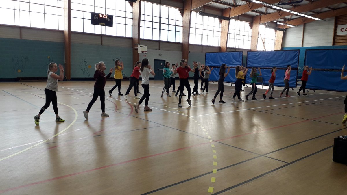 Une superbe journée pour une partie des élèves de l'AS Vimoutiers qui ont participé à la journée activités de la forme #unss. Au programme: step, zumba et circuit training.