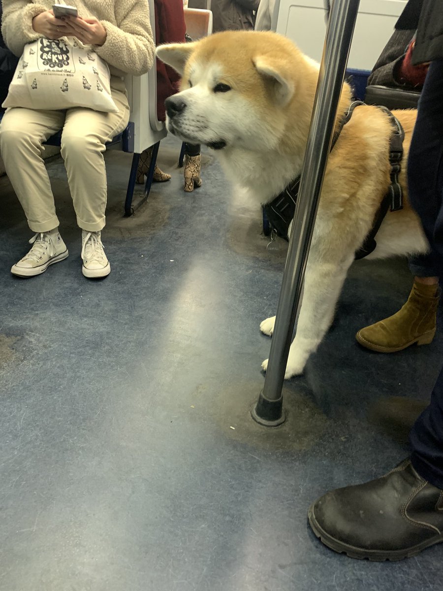 paul mehlen tweet media