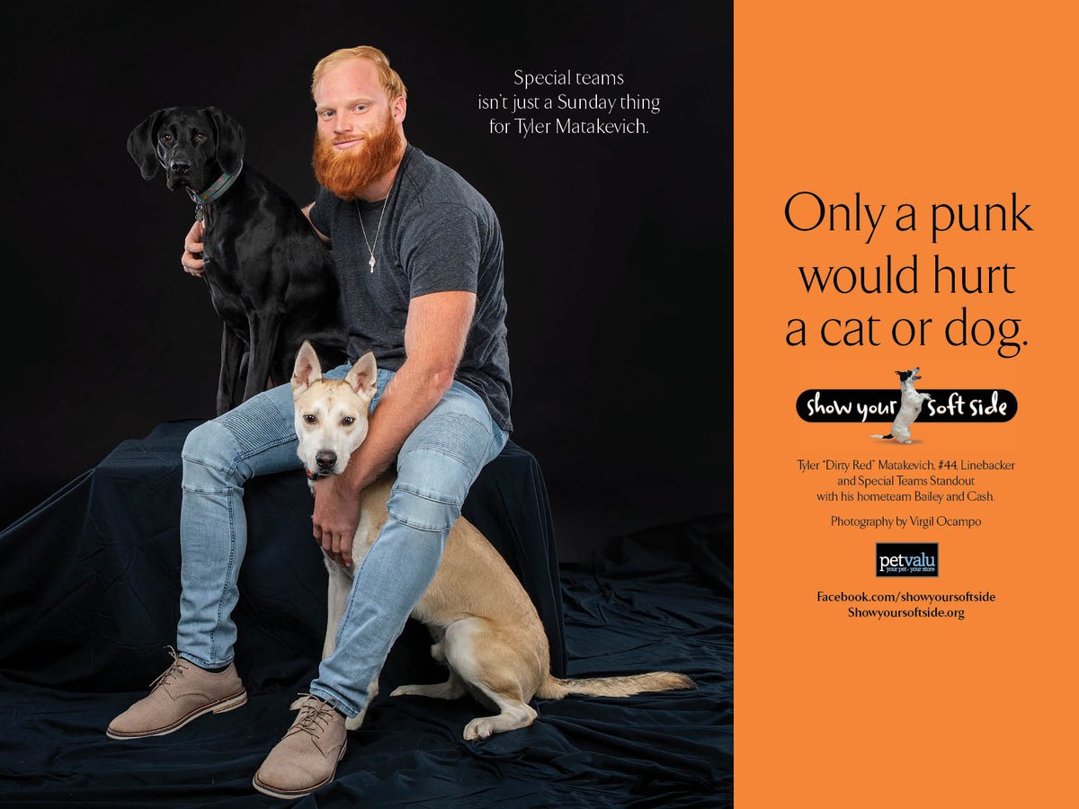 SoftSide1's tweet photo. Special teams isn't just a Sunday thing for @44_Matakevich.  (And former rescue pups, Bailey &amp; Cash couldn't be happier to be on #44's hometeam.) https://t.co/6X6IVKehwS