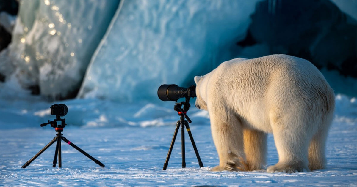 daniel_swanick's tweet image. Art may be subjective, but it makes you think 💭. See if anything from this month&apos;s #DesignBlock sparks something in you:  mailchi.mp/ea115e60167b/a…