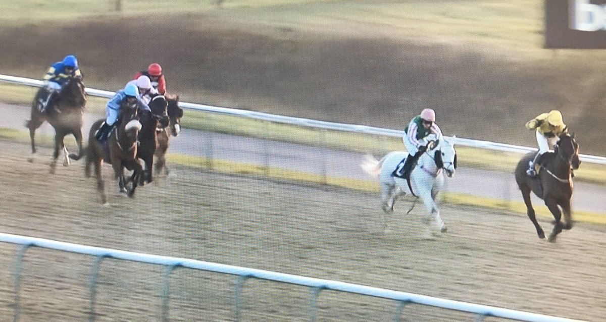 amajox's tweet photo. Congrats @amajox #SeanHawkins #FirstCareerWinner #UncleBernie #SarahHollinshead denies #champ @SerenaBrothert2 @LingfieldPark @betway #daytoremember 20/1!#topjock ๐๐๐๐ https://t.co/1t7aDSUK9t